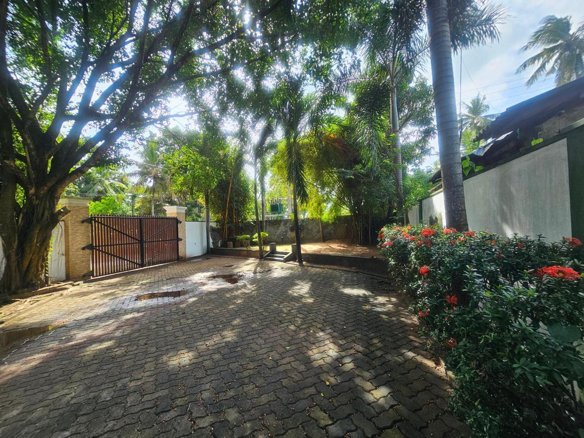Yala Safari Resort Tissamaharama Exterior photo